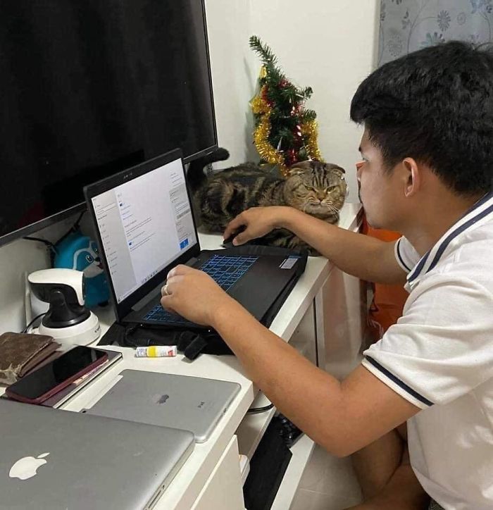17 Potret seorang pria dan kucingnya ini bikin baper, mesra banget