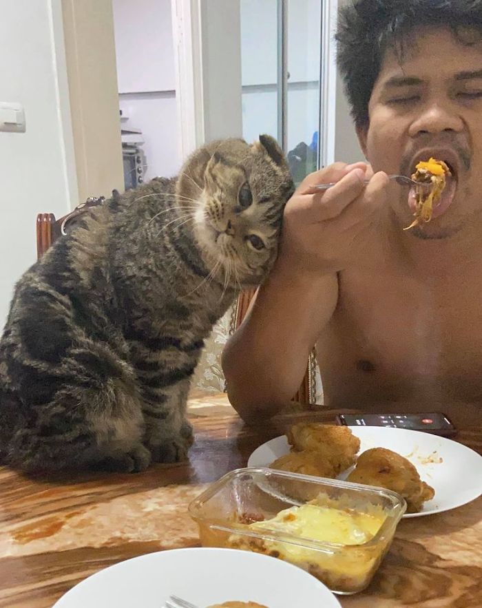 17 Potret seorang pria dan kucingnya ini bikin baper, mesra banget