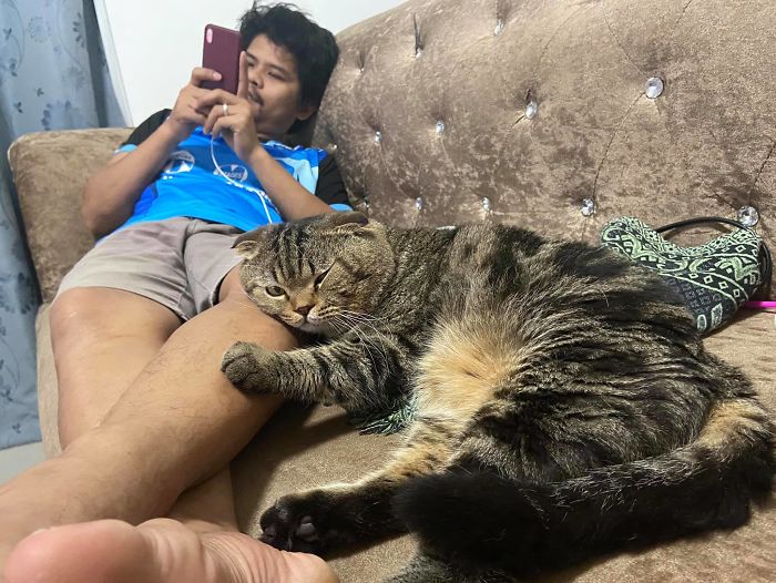 17 Potret seorang pria dan kucingnya ini bikin baper, mesra banget