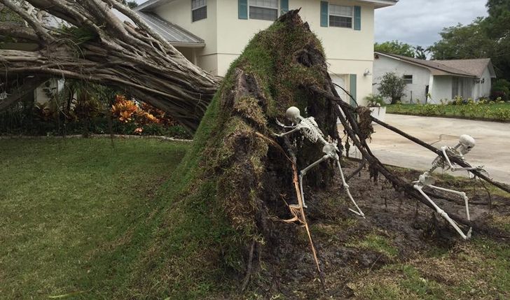 13 Desain rumah bertema Halloween, kreatif dan keren banget