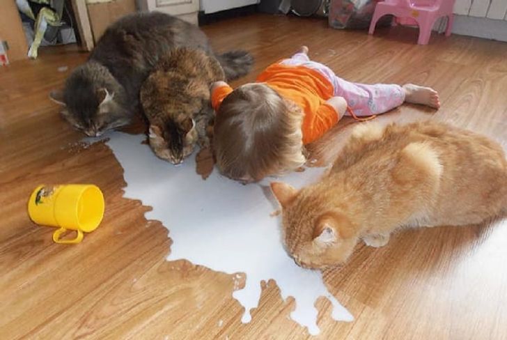 18 Potret tingkah lucu anak-anak, bikin gemas sekaligus ngakak