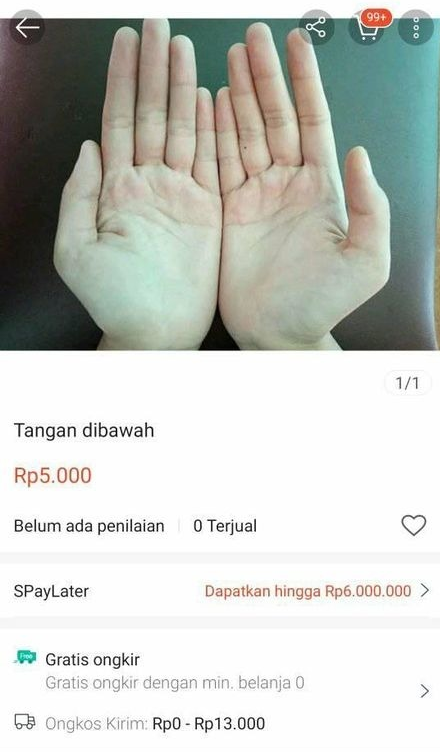 7 Foto barang dagangan di marketplace ini bikin mikir dua kali