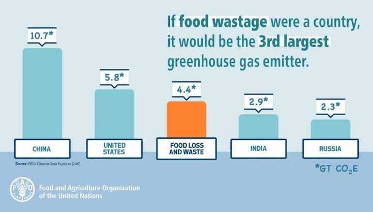 5 Fakta sampah makanan yang dapat merusak lingkungan
