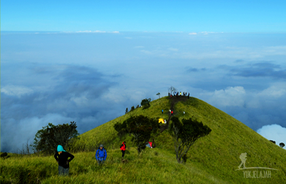Eksotisnya sabana Gunung Merbabu (Foto: Jamal Mahfudz)