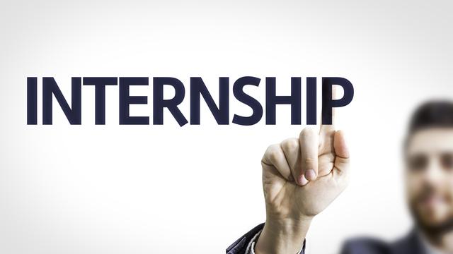 Gambar 3. Program Internship