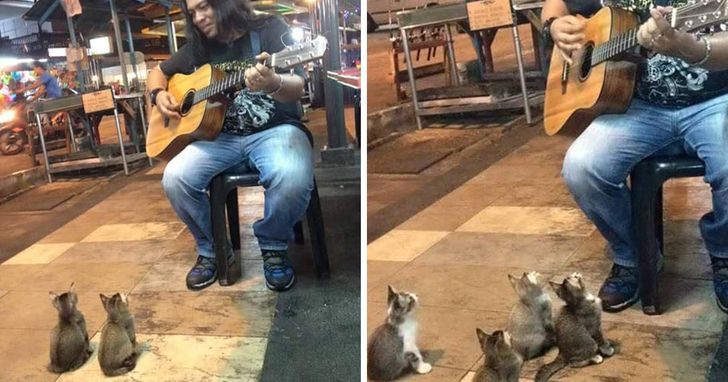 8 Tingkah kocak kucing ini bisa bikin mood naik, ada yang atraksi