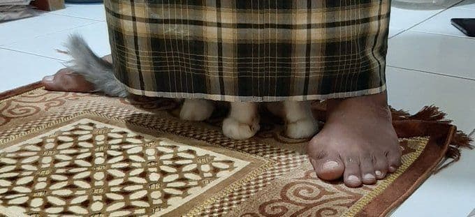 twitter.com/abopikjang