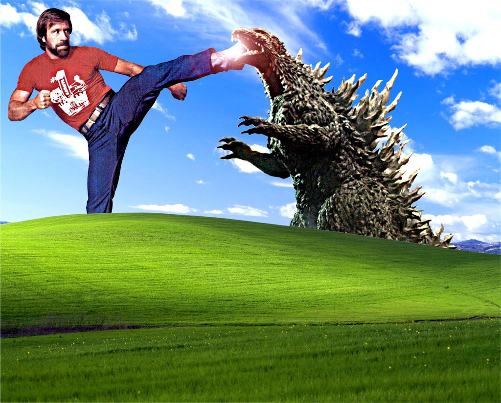 Chuck Norris vs Godzilla