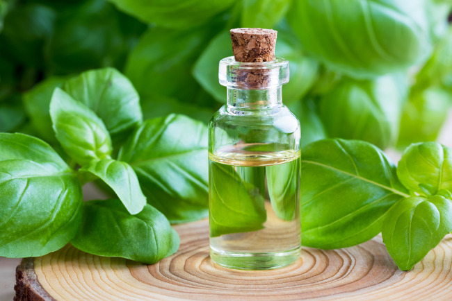 Wangi dan sehat, ini 6 manfaat aromaterapi untuk tubuh