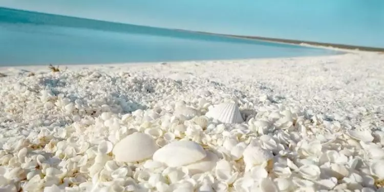 Pantai ini berselimut cangkang kerang, terlihat bak pasir putih