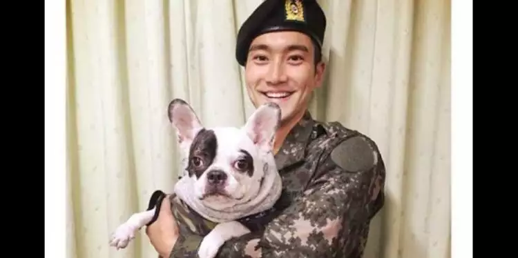 Ini anjing milik Choi Siwon yang gigit orang hingga meninggal