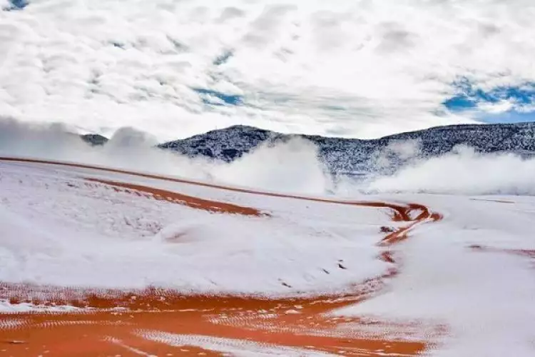 Gurun Sahara diselimuti salju, ini penjelasan ilmiahnya