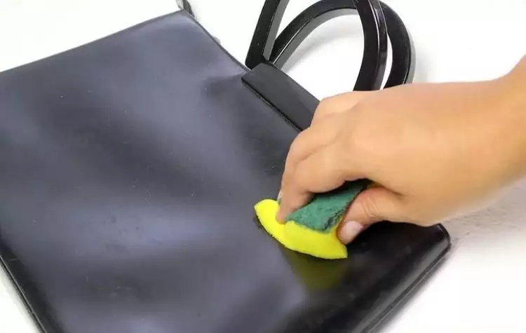 Tips gampang mengatasi jamur pada tas kulitmu, bahannya mudah didapat