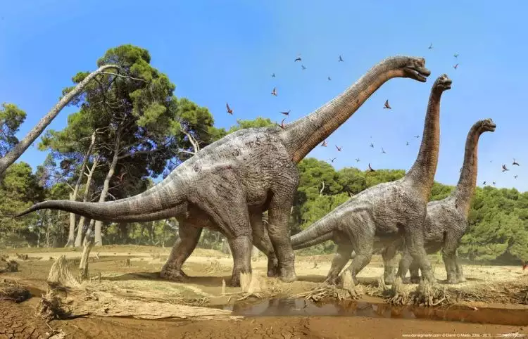Ini penampakan tapak dinosaurus yang hidup 100 juta tahun lalu