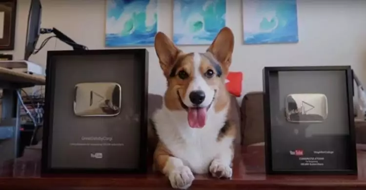 Ini anjing pertama yang dapat penghargaan dari YouTube, keren