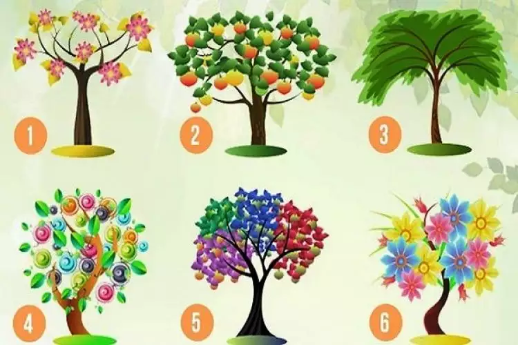 6 Jenis pohon ini bisa bongkar kepribadianmu seperti apa, berani coba?