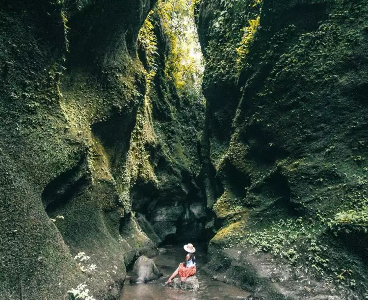 Hidden Green Canyon Undisan, surga tebing yang tersembunyi di Bali