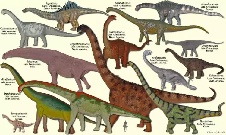 10 Dinosaurus raksasa ini pernah hidup di bumi