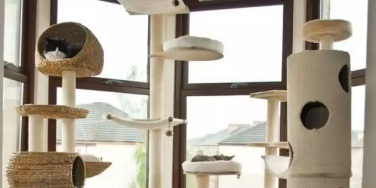 7 Inspirasi kece desain rumah kucing dari kayu, bikin si ipus betah