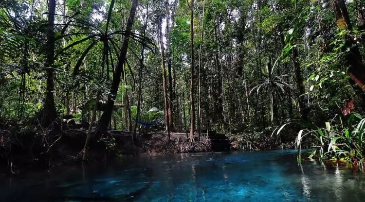 Berada di pelosok hutan Papua, ini 9 potret wisata alam Kalibiru