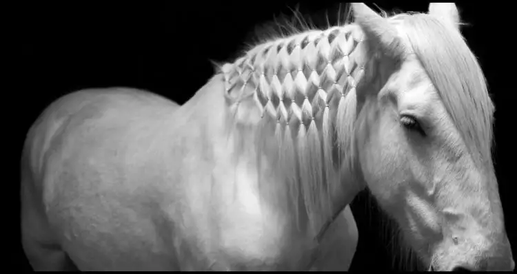Wow, ternyata ada hair extension bagi kuda kesayangan lho