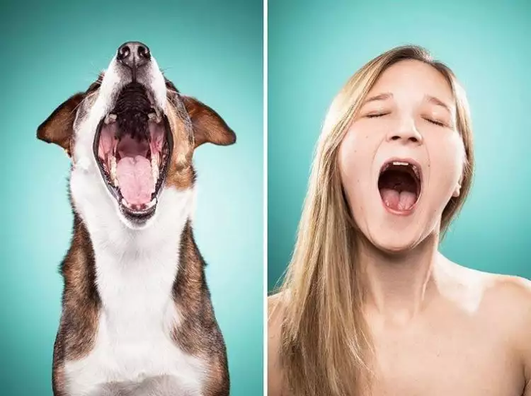 10 Foto si pemilik meniru pose & ekspresi anjingnya, mana lebih mirip?