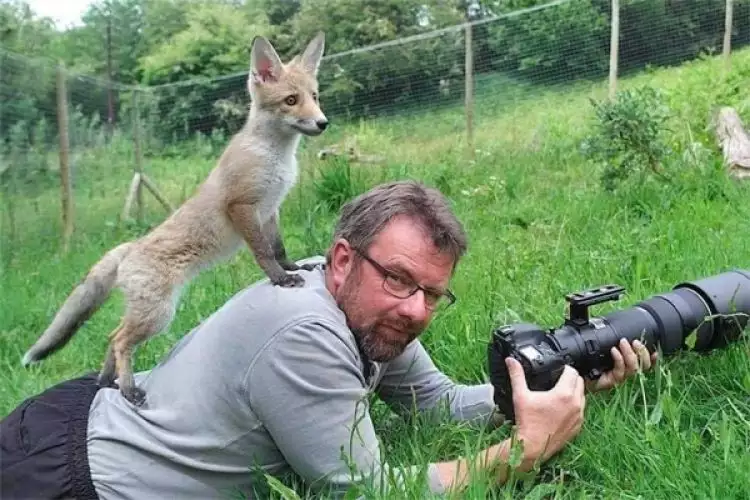 Ini 10 foto keisengan hewan liar saat bertemu fotografer, gemes!