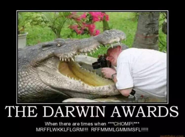 Darwin Award, ajang penghargaan konyol yang dijamin bikin kamu ngilu