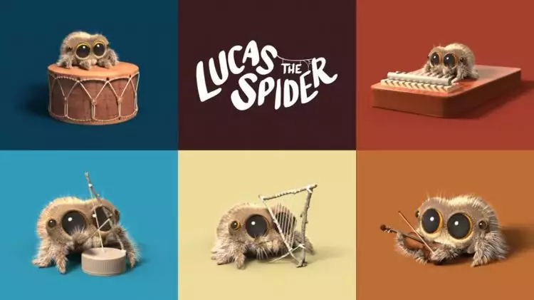 Lucas, laba-laba kecil yang kembali dengan pertunjukan menggemaskan