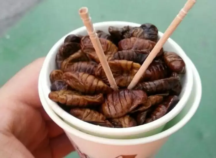 9 Negara ini punya makanan khas dari serangga, berani makan nggak?