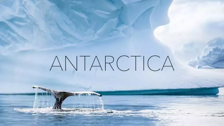 Ternyata dahulu Antartika berbentuk hutan lebat nan hijau, kok bisa?