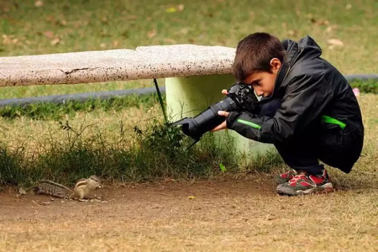 Gini cara lakukan fotografi wildlife dengan kamera smartphone