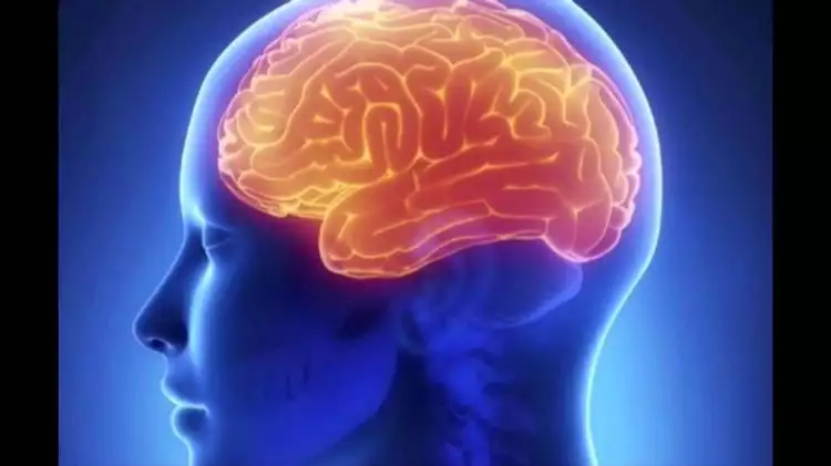 5 Kebiasaan ini dapat menghambat kinerja otak lho