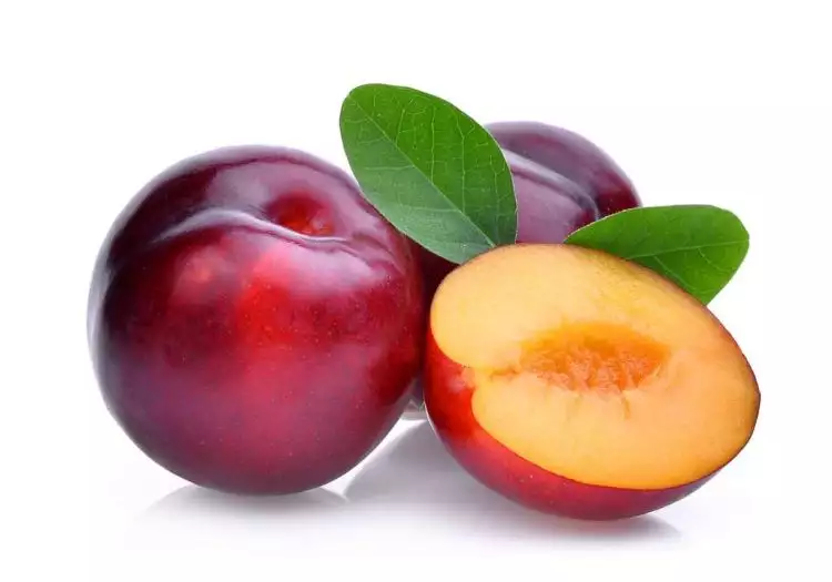 Disebut sebagai superfood, ini 7 manfaat buah plum