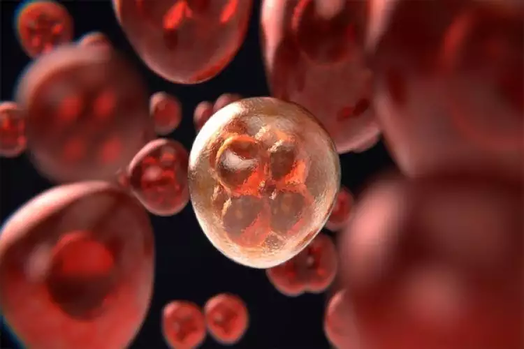 Selain perubahan DNA, 5 hal ini tingkatkan risiko terkena kanker darah