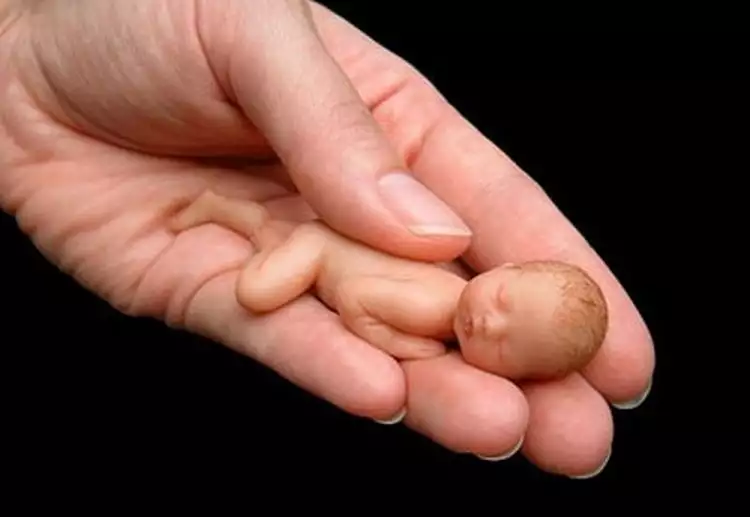 Potret miniatur bayi dalam genggaman ini nggemesin banget
