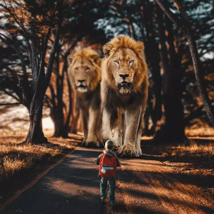 10 Editan foto manusia dengan hewan raksasa, hasilnya epik