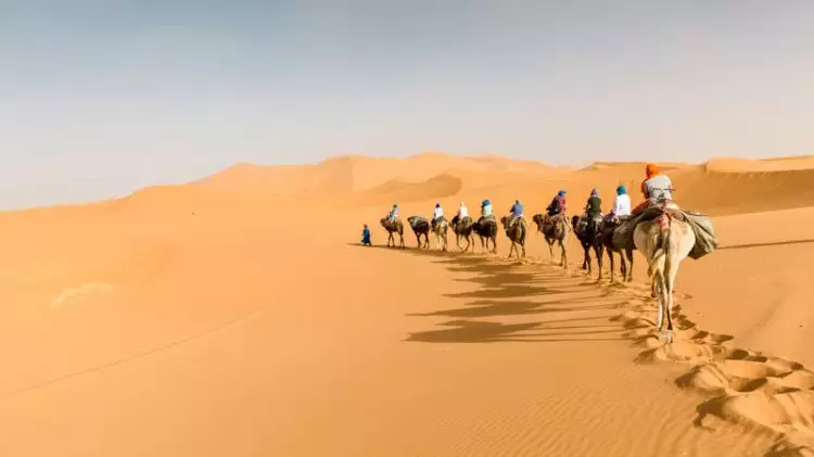 10 Fakta unik Gurun Sahara, gurun pasir terbesar di Bumi