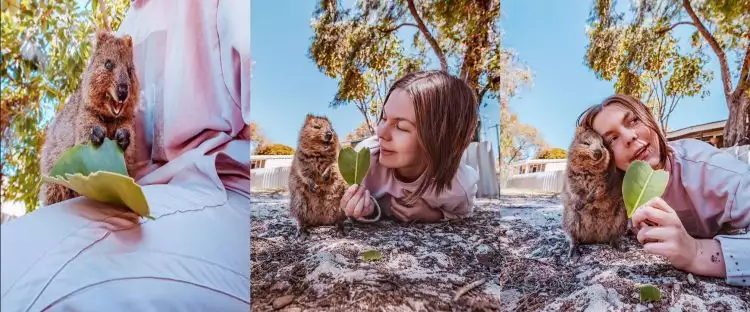 Wanita ini terbang 25 jam ke Australia hanya untuk bertemu hewan ini
