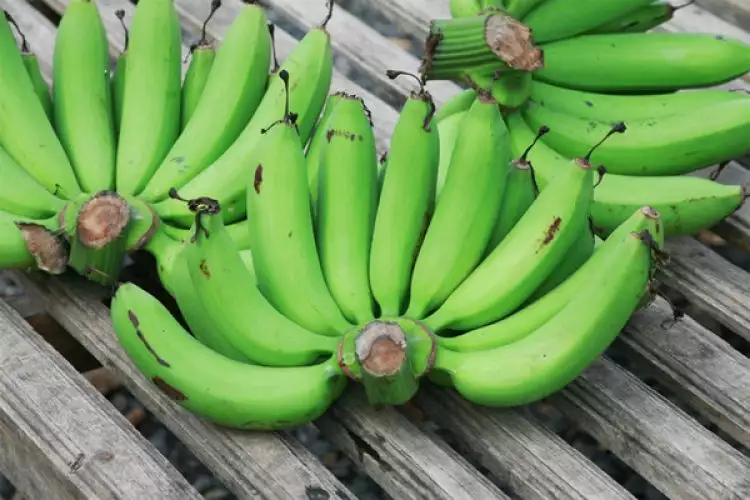 5 Manfaat mengonsumsi pisang mentah, baik bagi kesehatan tubuh