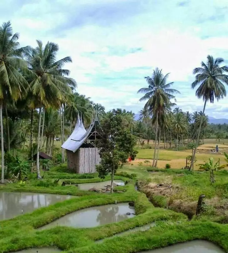 5 Fakta menarik Pariaman, salah satu kota indah di Sumatra Barat