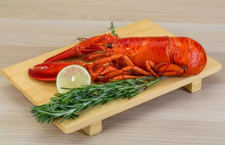 Dulu tergolong sebagai makanan murah, kini lobster jadi santapan mewah