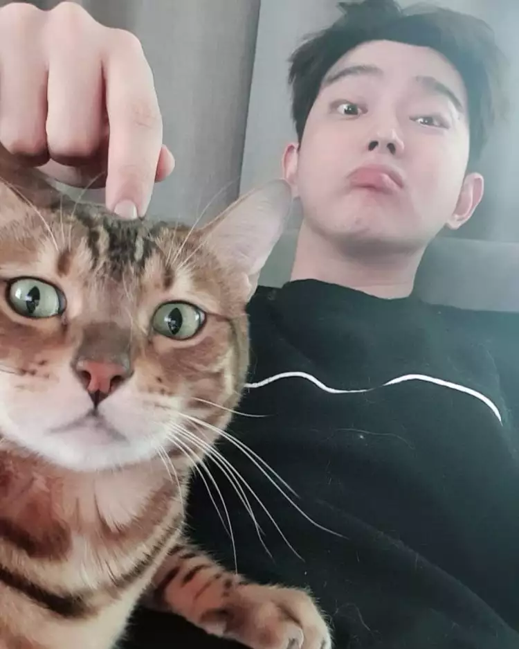 4 Seleb pria Korea Selatan ini sering pamerkan kucingnya di Instagram