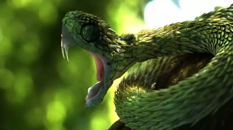 Inilah 6 jenis ular dengan bentuk paling unik dan menarik