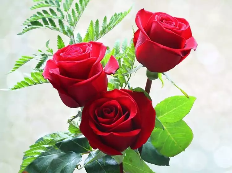 Aneka olahan berbahan dasar bunga mawar, unik dan inspiratif