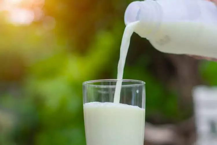 3 Manfaat ini bisa kamu dapatkan saat minum susu pasteurisasi