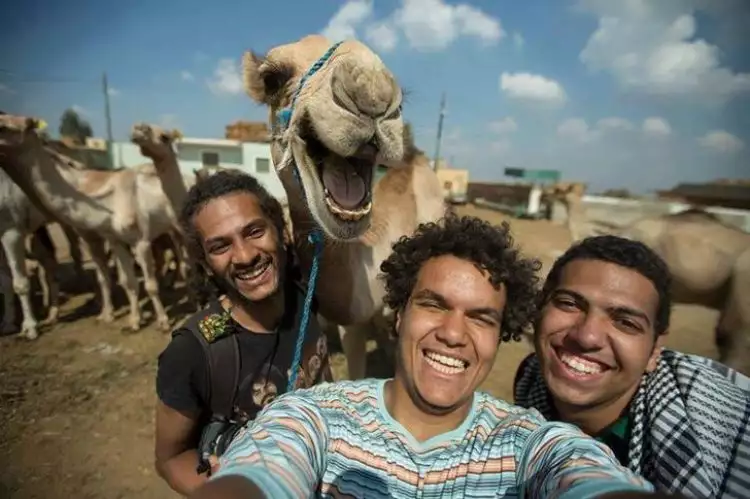 14 Ekspresi hewan saat diajak selfie ini lucu dan gemesin banget