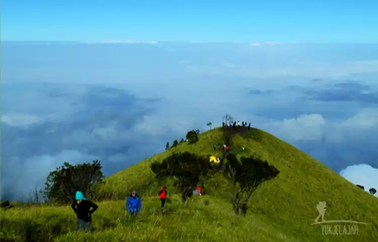 Menjelajahi sabana eksotis di Gunung Merbabu