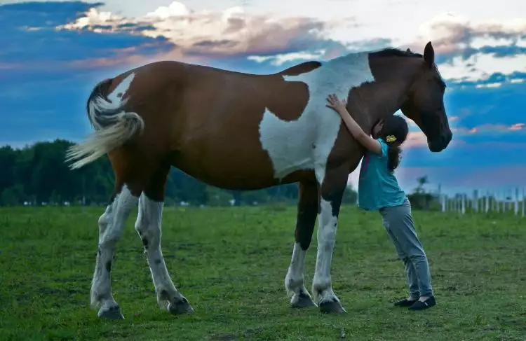 Equine-Assisted Therapy, terapi dengan bantuan kuda untuk anak autisme
