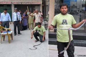 Mau ambil uang di ATM, yang keluar malah ular Kobra